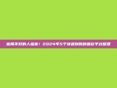 信用不好的人福音！2024年5个快速到账的借款平台整理