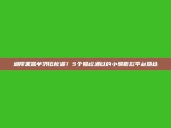 逾期黑名单仍旧能借？5个轻松通过的小额借款平台精选