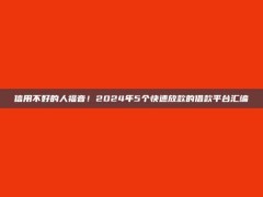 信用不好的人福音！2024年5个快速放款的借款平台汇编