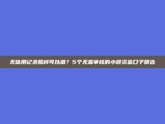 无信用记录照样可以借？5个无需审核的小额资金口子精选