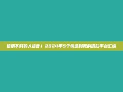 信用不好的人福音！2024年5个快速到账的借款平台汇编