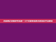 无信用记录照样可以借？5个无需审核的小额放款平台精选