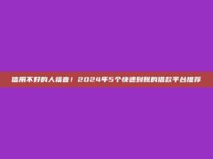 信用不好的人福音！2024年5个快速到账的借款平台推荐