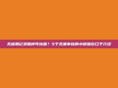 无信用记录照样可以借？5个无需审核的小额借款口子介绍