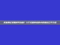 无信用记录照样可以借？5个无需审核的小额借款口子介绍