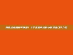 负债过高照样可以借？5个无需审核的小额资金口子介绍