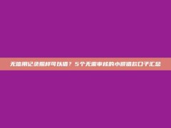 无信用记录照样可以借？5个无需审核的小额借款口子汇总