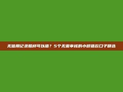 无信用记录照样可以借？5个无需审核的小额借款口子精选