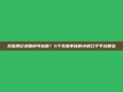 无信用记录照样可以借？5个无需审核的小额口子平台精选