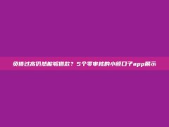 负债过高仍然能够借款？5个零审核的小额口子app展示