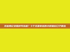 无信用记录照样可以借？5个无需审核的小额借款口子精选