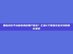 哪些贷款平台能够满足黑户需求？汇编5个便捷资金支持的借款渠道