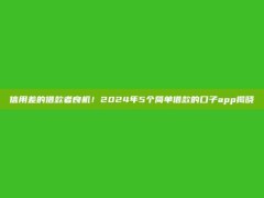 信用差的借款者良机！2024年5个简单借款的口子app揭晓