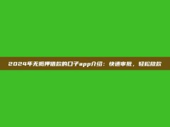 2024年无抵押借款的口子app介绍：快速审批，轻松放款