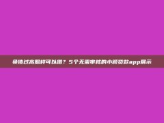 负债过高照样可以借？5个无需审核的小额贷款app展示