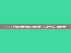 2024年无需抵押的借款app揭晓：立即审核，便捷到账