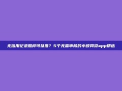 无信用记录照样可以借？5个无需审核的小额网贷app精选