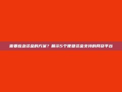 需要应急资金的方案？展示5个便捷资金支持的网贷平台