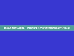 信用不好的人福音！2024年5个快速到账的借贷平台分享