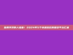 信用不好的人福音！2024年5个快速放款的借贷平台汇编