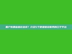 黑户有哪些借款选择？介绍5个便捷借贷服务的口子平台