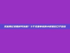 无信用记录照样可以借？5个无需审核的小额借款口子总结