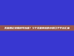 无信用记录照样可以借？5个无需审核的小额口子平台汇编