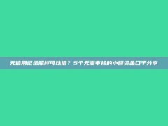 无信用记录照样可以借？5个无需审核的小额资金口子分享