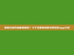 负债过高仍然能够借款？5个无需审核的小额贷款app介绍