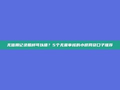 无信用记录照样可以借？5个无需审核的小额网贷口子推荐