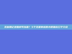 无信用记录照样可以借？5个无需审核的小额借款口子介绍