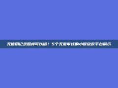 无信用记录照样可以借？5个无需审核的小额放款平台展示