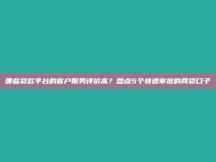 哪些贷款平台的客户服务评价高？盘点5个快速审批的网贷口子