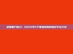 逾期黑户助力！2024年5个便捷到账的借款平台介绍