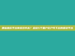 哪些借款平台审核效率高？总结5个黑户花户可下款的借贷平台