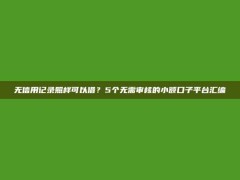 无信用记录照样可以借？5个无需审核的小额口子平台汇编