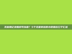 无信用记录照样可以借？5个无需审核的小额借款口子汇总