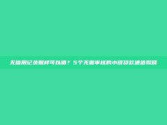 无信用记录照样可以借？5个无需审核的小额贷款通道揭晓