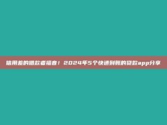 信用差的借款者福音！2024年5个快速到账的贷款app分享