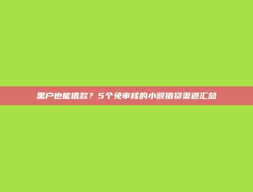 黑户也能借款？5个免审核的小额借贷渠道汇总