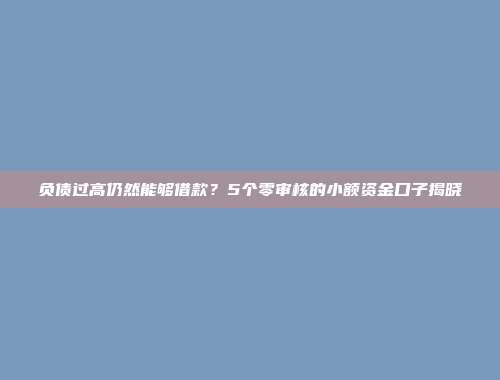 负债过高仍然能够借款？5个零审核的小额资金口子揭晓