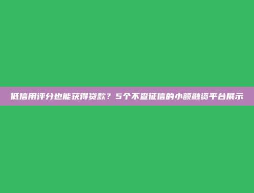 低信用评分也能获得贷款？5个不查征信的小额融资平台展示