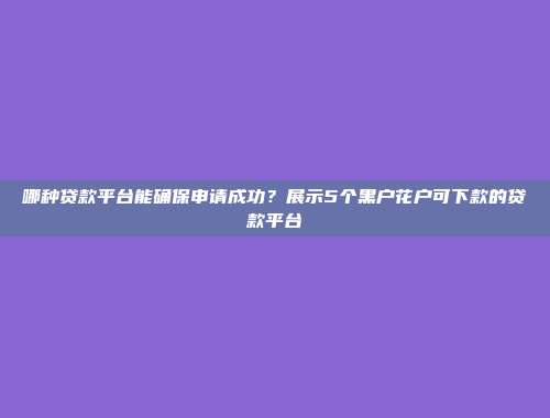 哪种贷款平台能确保申请成功？展示5个黑户花户可下款的贷款平台