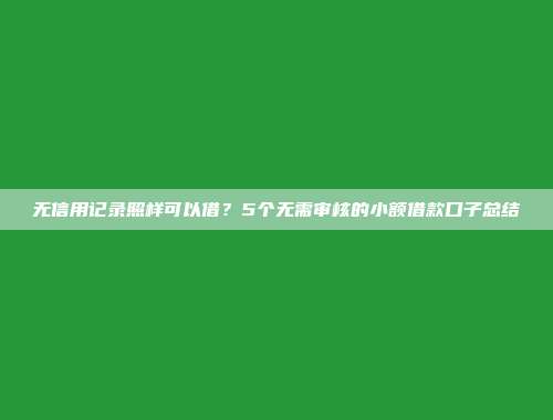 无信用记录照样可以借？5个无需审核的小额借款口子总结