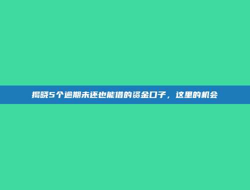 揭晓5个逾期未还也能借的资金口子，这里的机会