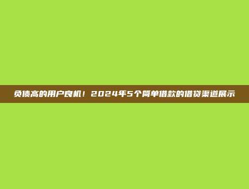 负债高的用户良机！2024年5个简单借款的借贷渠道展示