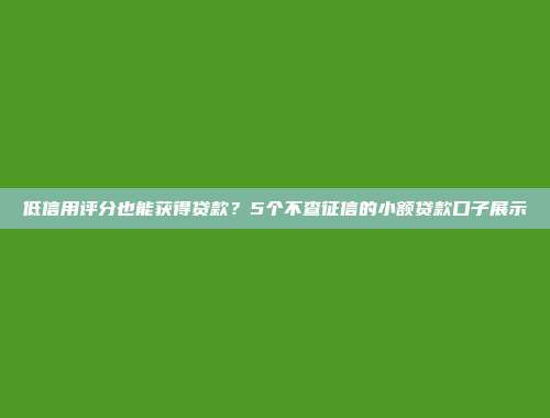 低信用评分也能获得贷款？5个不查征信的小额贷款口子展示