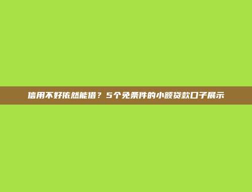 信用不好依然能借？5个免条件的小额贷款口子展示