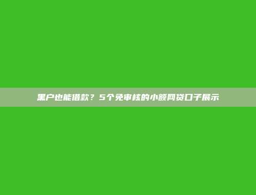 黑户也能借款？5个免审核的小额网贷口子展示