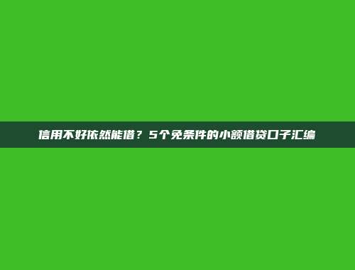 信用不好依然能借？5个免条件的小额借贷口子汇编